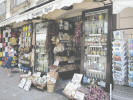 Mesteko Tropea