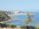 Topea