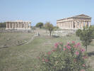 Paestum