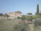 Paestum