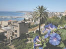 Sciacca
